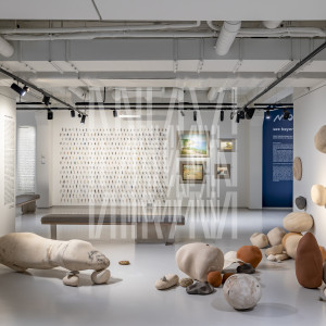 Море що з'їдає місто